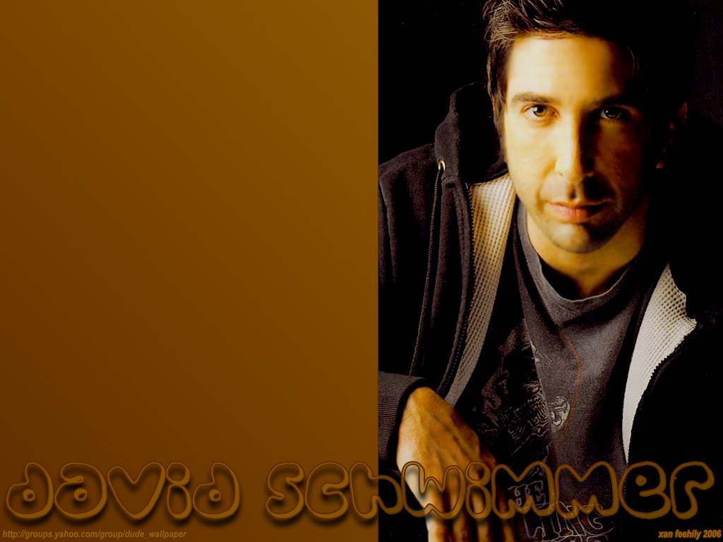 David schwimmer